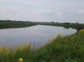 River Trent, Besthorpe