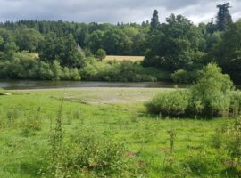 R Severn, Bridgnorth
