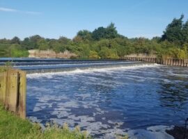 River Trent, Ladypitt Farm