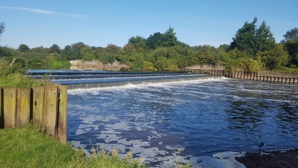 River Trent, Ladypitt Farm