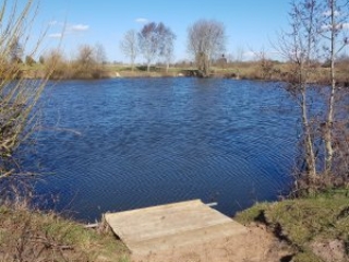 20220314_131337-300×300