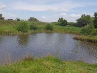 20220519_131313-300×300