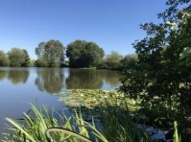 Black Bank – 19th March