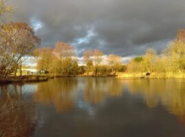 Yaddlethorpe Ponds