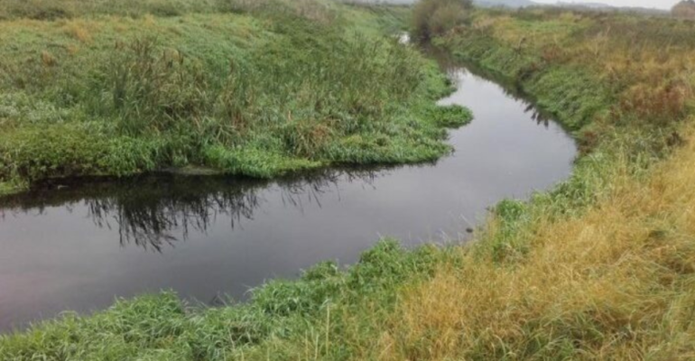 River Idle at Misterton