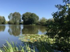 Black Bank / Trent View Pond