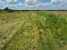 Besthorpe pre-season tidy up