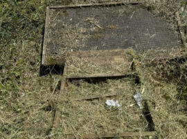 Scabcroft, R Ancholme