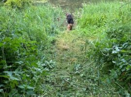 Pylon Field swim preparation