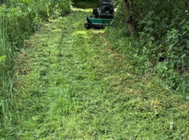 Giving Medge Hall a trim