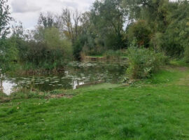 Yadd clearance and platforms