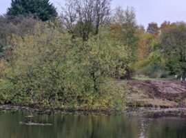 North Pond maintenance