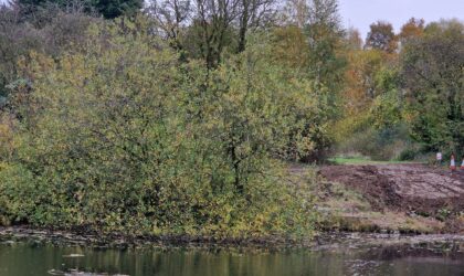 North Pond maintenance