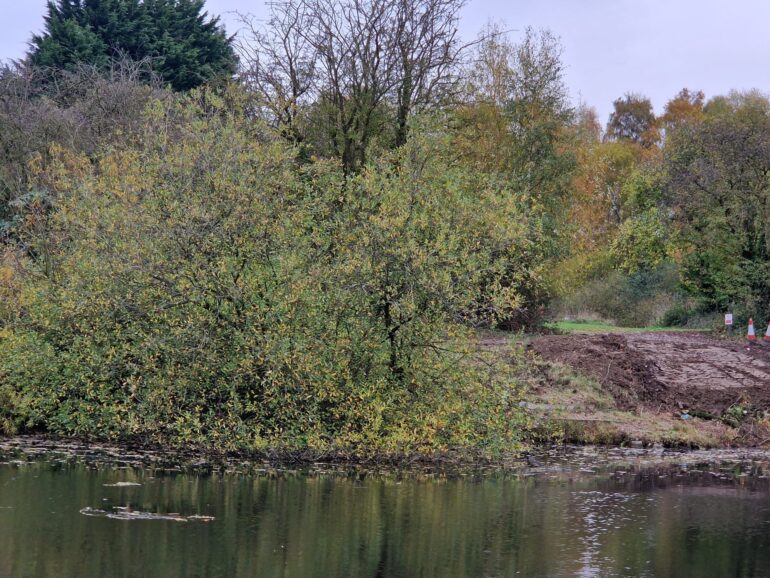 North Pond maintenance