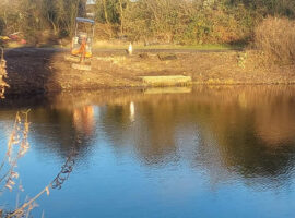 North Pond platforms