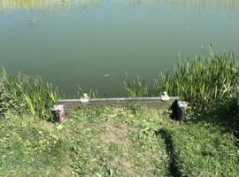 Louth Canal swim repairs