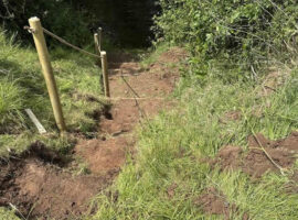 Ladypitt peg improvements