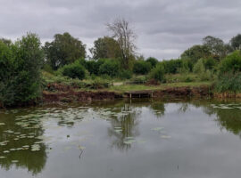 Maintenance team update