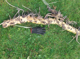 Maintenance team, 12/09/25