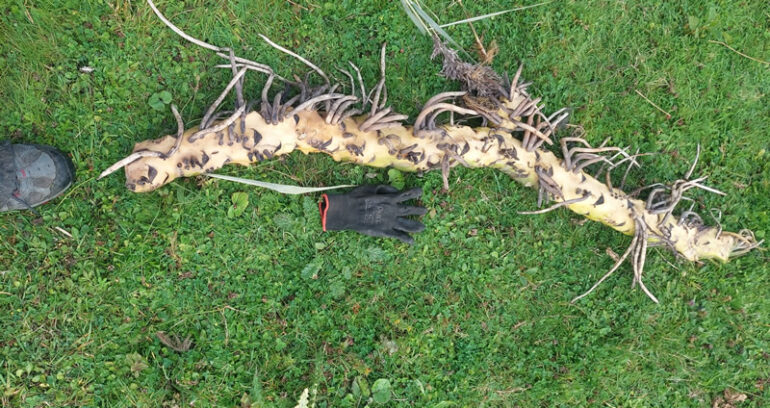 Maintenance team, 12/09/25