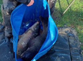 Black Bank, any method, 03/03/26