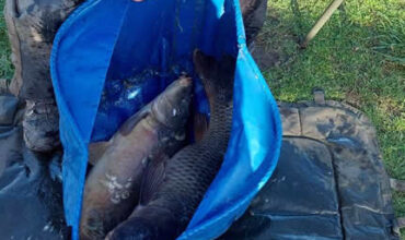 Black Bank, any method, 03/03/26