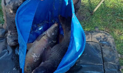 Black Bank, any method, 03/03/26