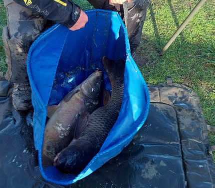 Black Bank, any method, 03/03/26