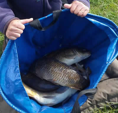 Black Bank, any method, 12/05/26