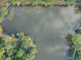 Yaddlethorpe lily clearance