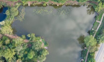 Yaddlethorpe lily clearance